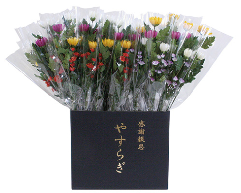 やすらぎ菊(ラップ入り・展示箱付)30本入