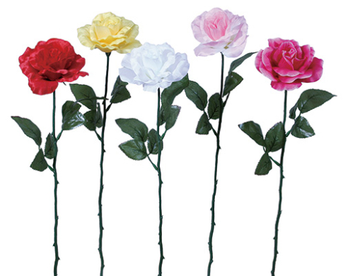 シングルローズ