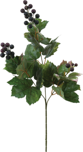 グレープリーフスプレー