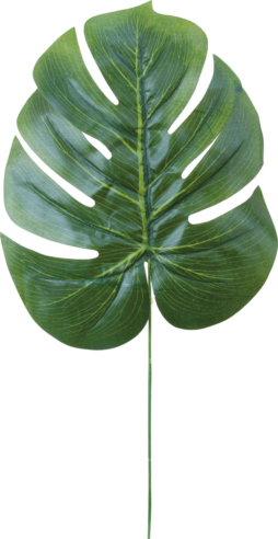 大モンステーラリーフ