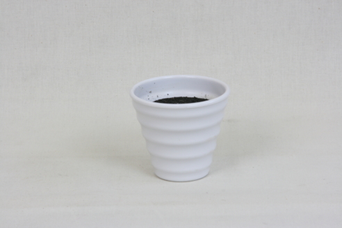 白ポット